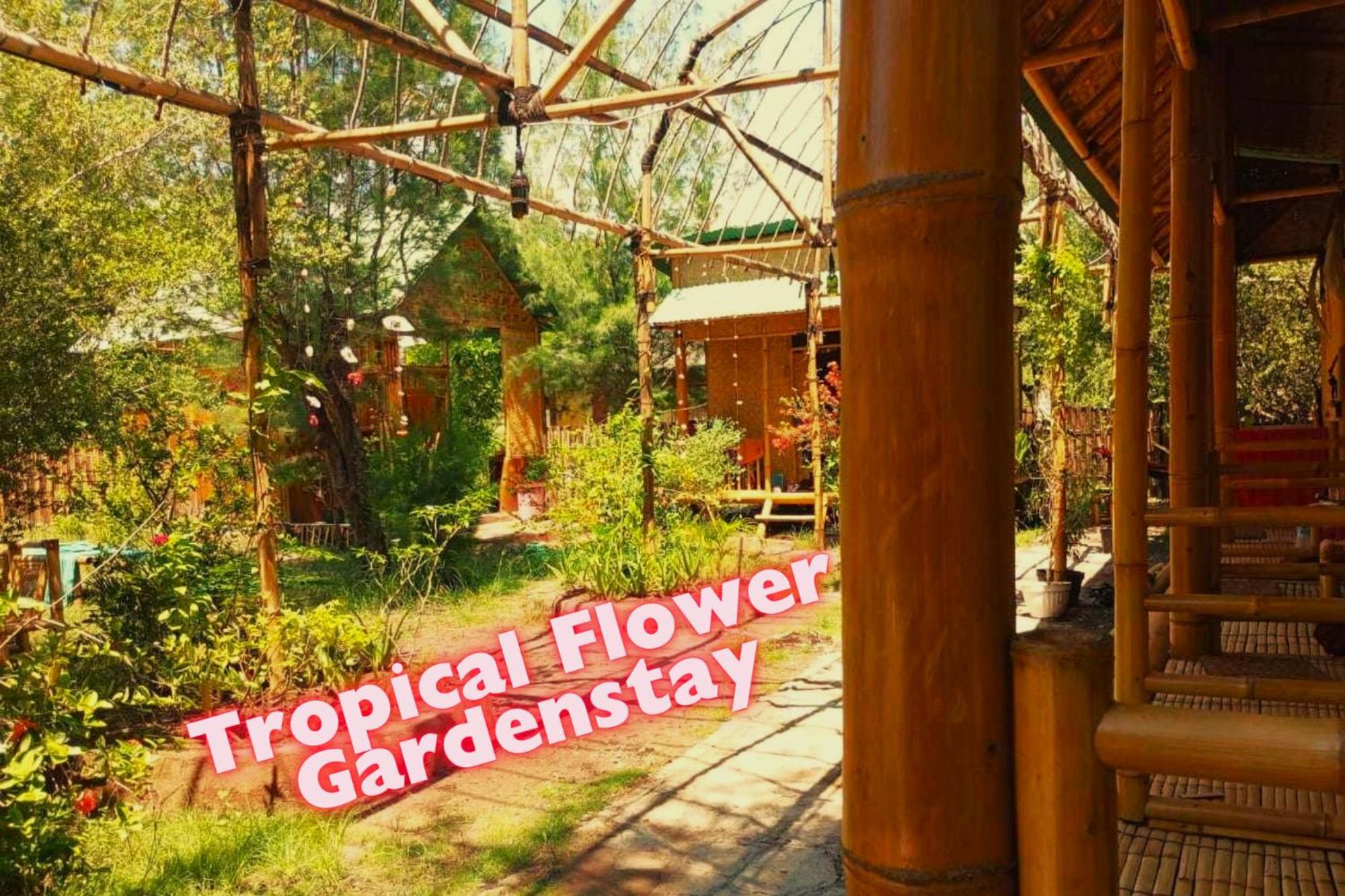 ギリ島 Uncle Hippie'S Dreamホステル エクステリア 写真