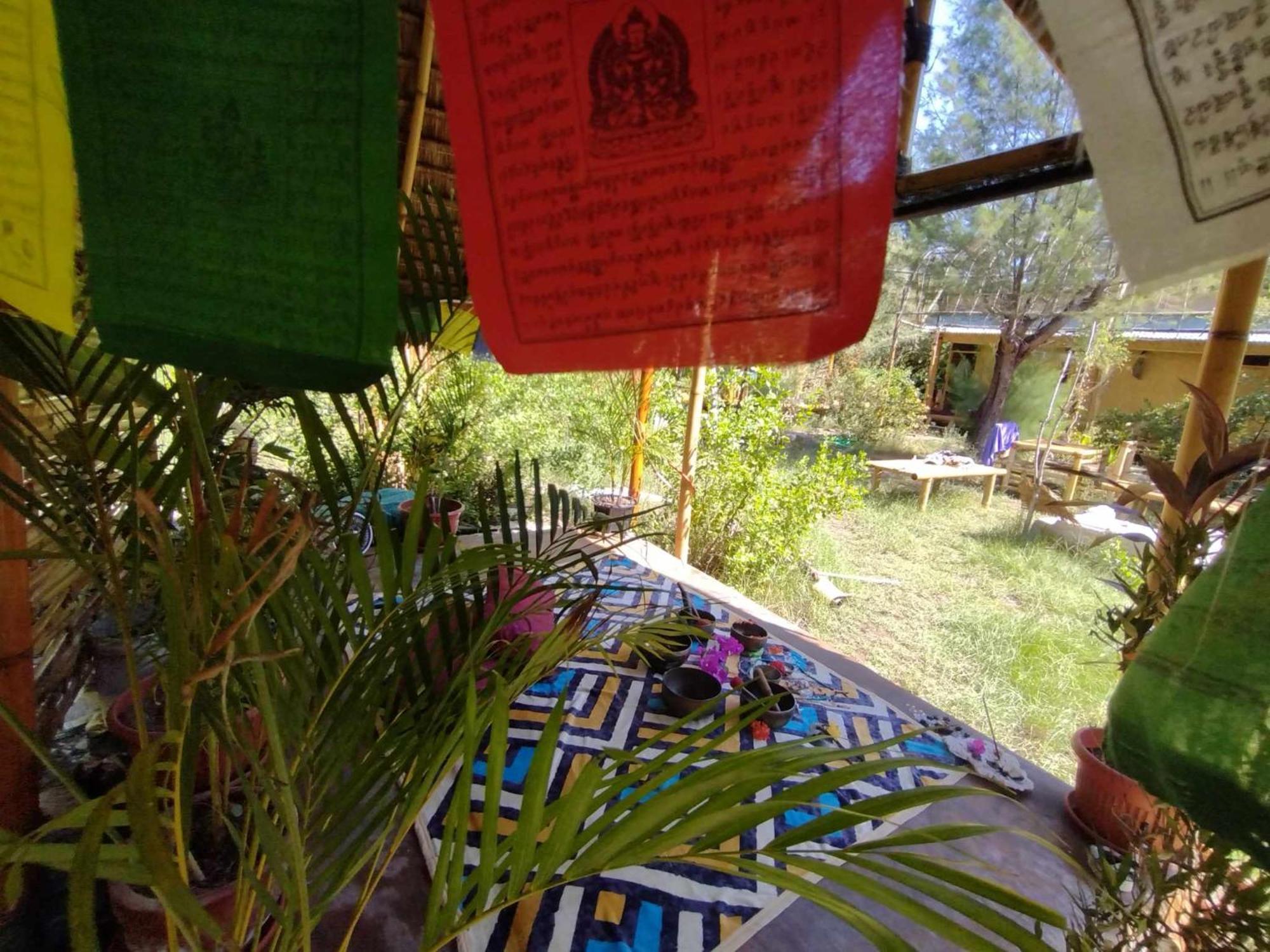 ギリ島 Uncle Hippie'S Dreamホステル エクステリア 写真