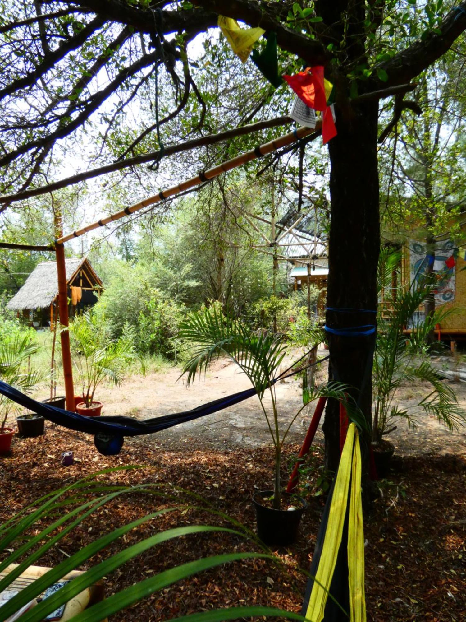ギリ島 Uncle Hippie'S Dreamホステル エクステリア 写真